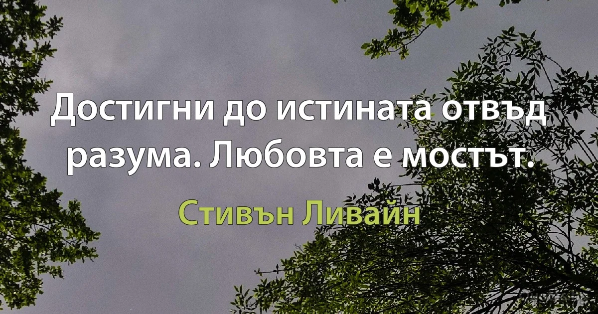 Достигни до истината отвъд разума. Любовта е мостът. (Стивън Ливайн)