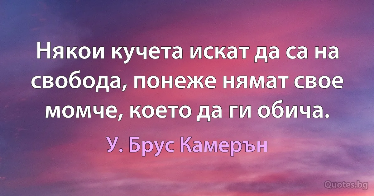 Някои кучета искат да са на свобода, понеже нямат свое момче, което да ги обича. (У. Брус Камерън)