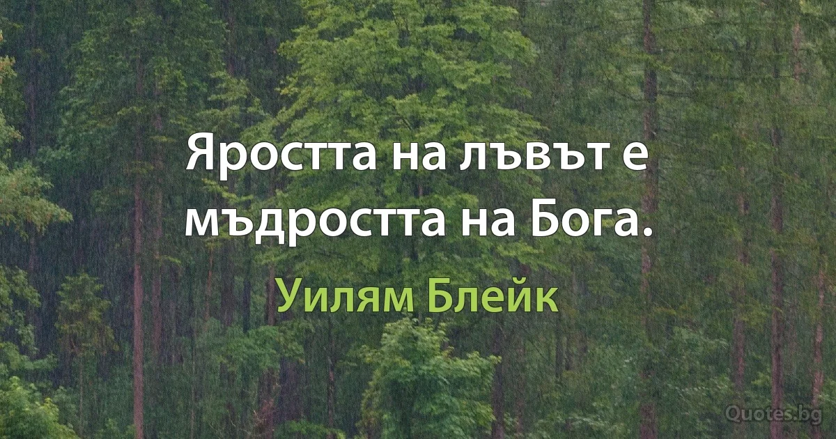 Яростта на лъвът е мъдростта на Бога. (Уилям Блейк)