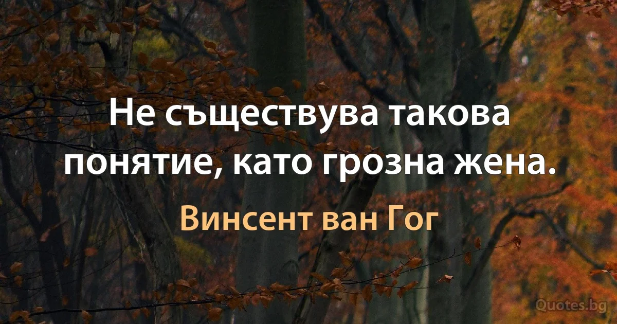 Не съществува такова понятие, като грозна жена. (Винсент ван Гог)