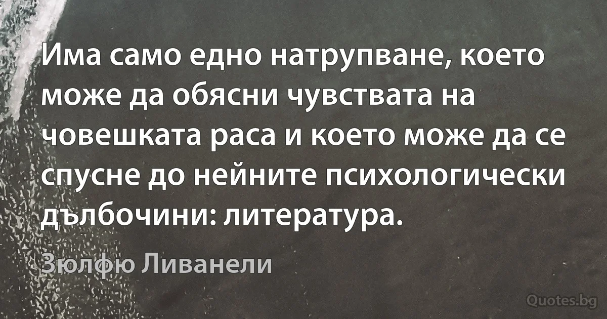 Има само едно натрупване, което може да обясни чувствата на човешката раса и което може да се спусне до нейните психологически дълбочини: литература. (Зюлфю Ливанели)