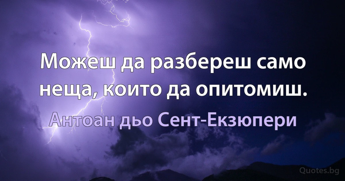 Можеш да разбереш само неща, които да опитомиш. (Антоан дьо Сент-Екзюпери)