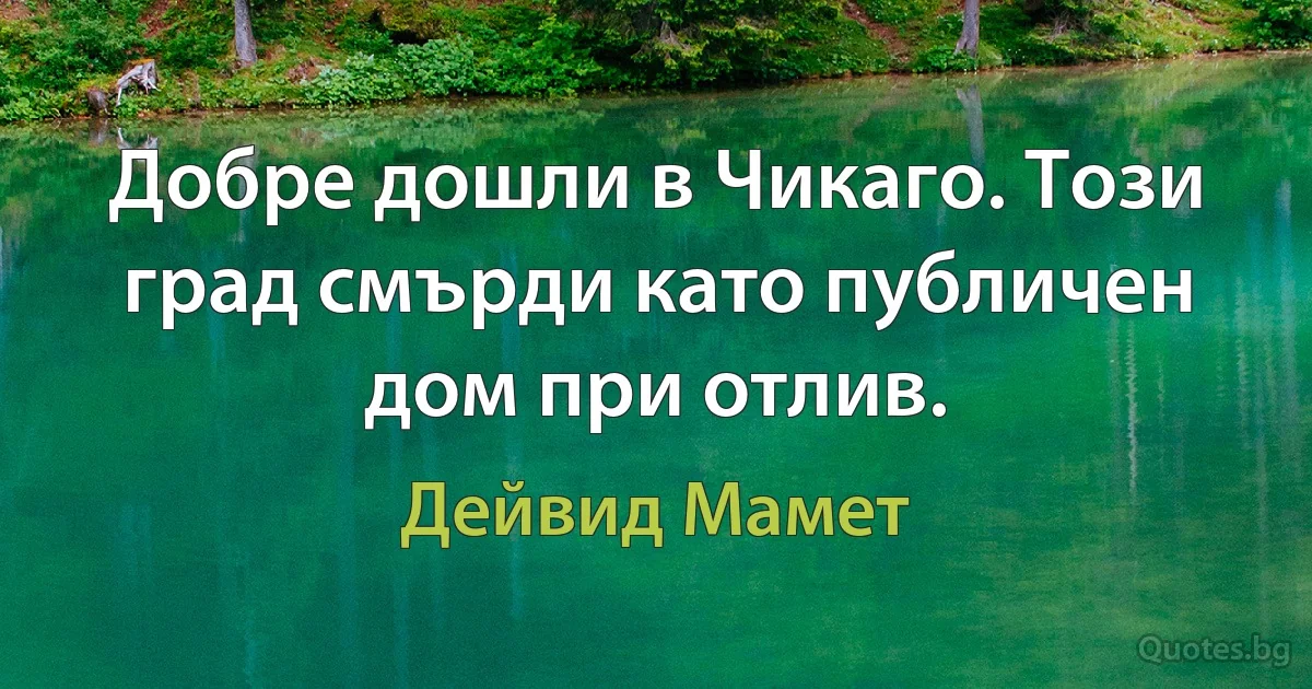 Добре дошли в Чикаго. Този град смърди като публичен дом при отлив. (Дейвид Мамет)