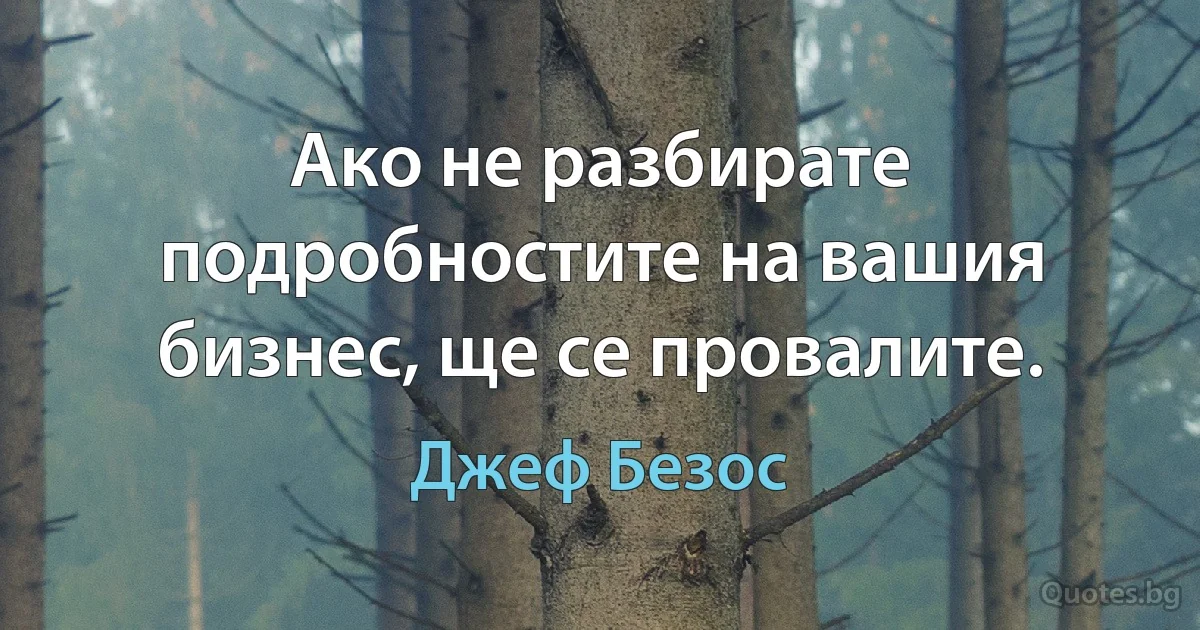 Ако не разбирате подробностите на вашия бизнес, ще се провалите. (Джеф Безос)