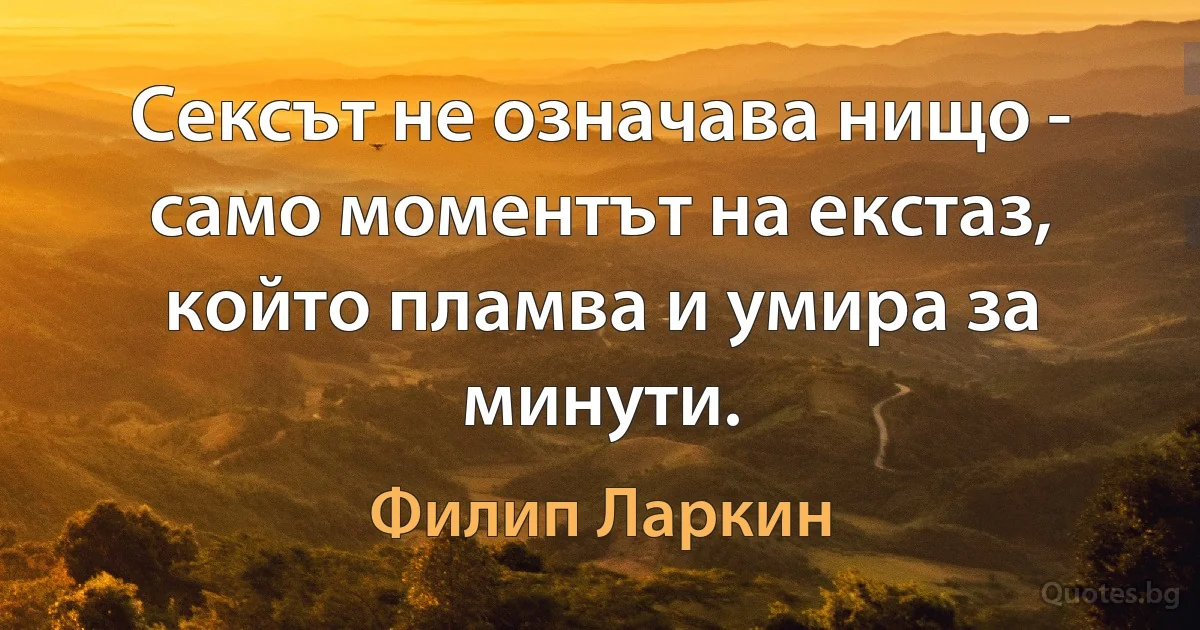 Сексът не означава нищо - само моментът на екстаз, който пламва и умира за минути. (Филип Ларкин)