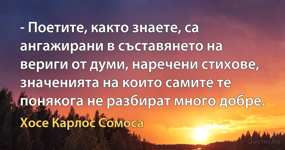 - Поетите, както знаете, са ангажирани в съставянето на вериги от думи, наречени стихове, значенията на които самите те понякога не разбират много добре. (Хосе Карлос Сомоса)