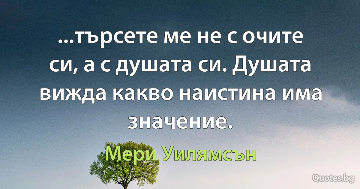 ...търсете ме не с очите си, а с душата си. Душата вижда какво наистина има значение. (Мери Уилямсън)