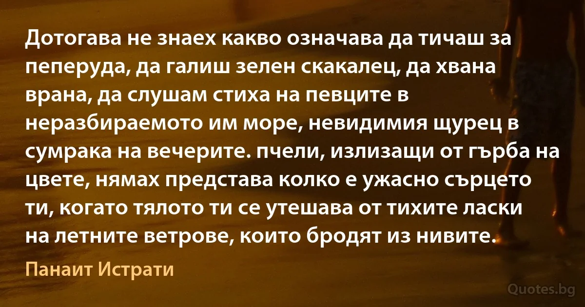 Дотогава не знаех какво означава да тичаш за пеперуда, да галиш зелен скакалец, да хвана врана, да слушам стиха на певците в неразбираемото им море, невидимия щурец в сумрака на вечерите. пчели, излизащи от гърба на цвете, нямах представа колко е ужасно сърцето ти, когато тялото ти се утешава от тихите ласки на летните ветрове, които бродят из нивите. (Панаит Истрати)