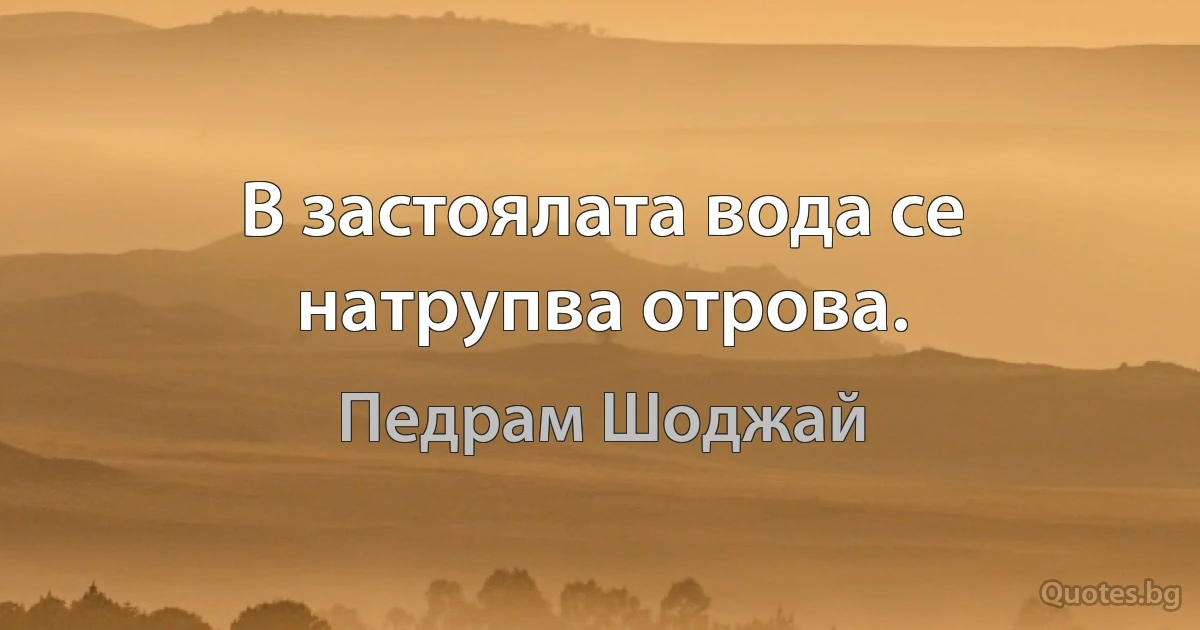 В застоялата вода се натрупва отрова. (Педрам Шоджай)