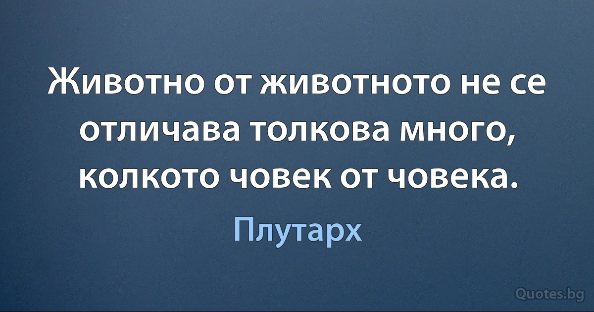 Животно от животното не се отличава толкова много, колкото човек от човека. (Плутарх)