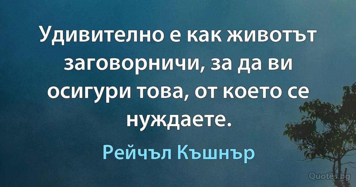 Удивително е как животът заговорничи, за да ви осигури това, от което се нуждаете. (Рейчъл Къшнър)