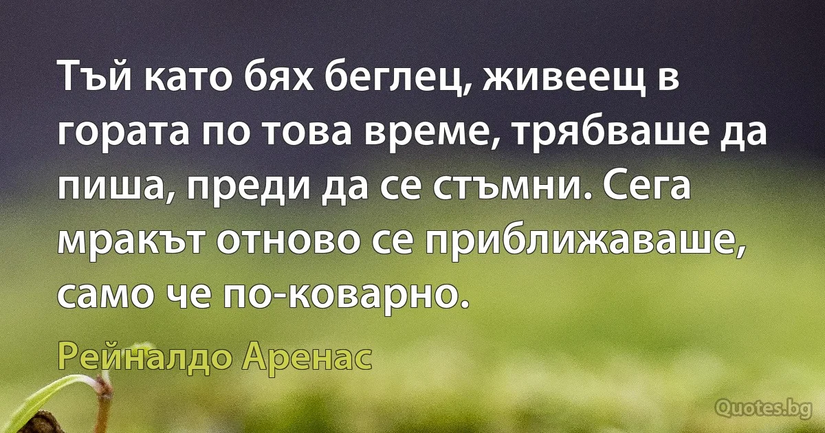 Тъй като бях беглец, живеещ в гората по това време, трябваше да пиша, преди да се стъмни. Сега мракът отново се приближаваше, само че по-коварно. (Рейналдо Аренас)