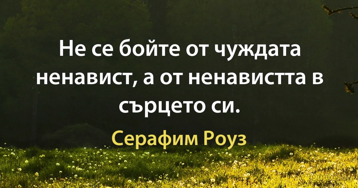 Не се бойте от чуждата ненавист, а от ненавистта в сърцето си. (Серафим Роуз)