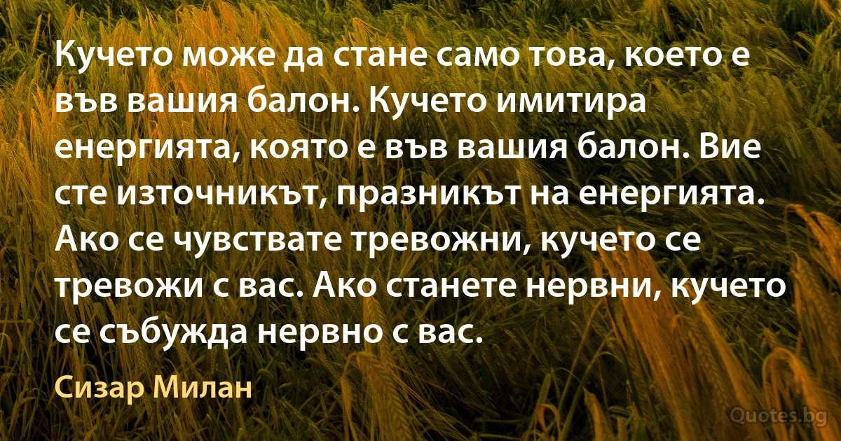 Кучето може да стане само това, което е във вашия балон. Кучето имитира енергията, която е във вашия балон. Вие сте източникът, празникът на енергията. Ако се чувствате тревожни, кучето се тревожи с вас. Ако станете нервни, кучето се събужда нервно с вас. (Сизар Милан)