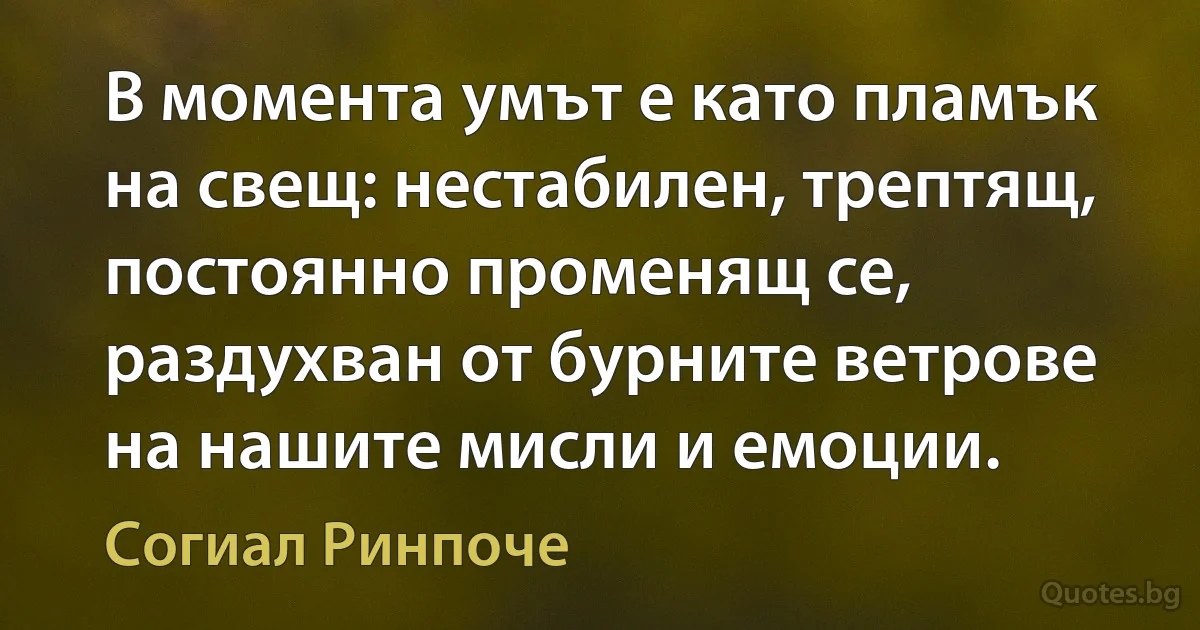 В момента умът е като пламък на свещ: нестабилен, трептящ, постоянно променящ се, раздухван от бурните ветрове на нашите мисли и емоции. (Согиал Ринпоче)