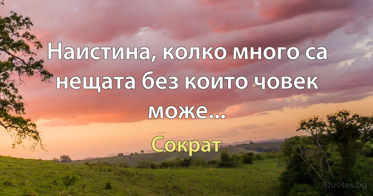 Наистина, колко много са нещата без които човек може... (Сократ)