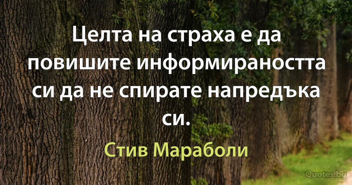 Целта на страха е да повишите информираността си да не спирате напредъка си. (Стив Мараболи)