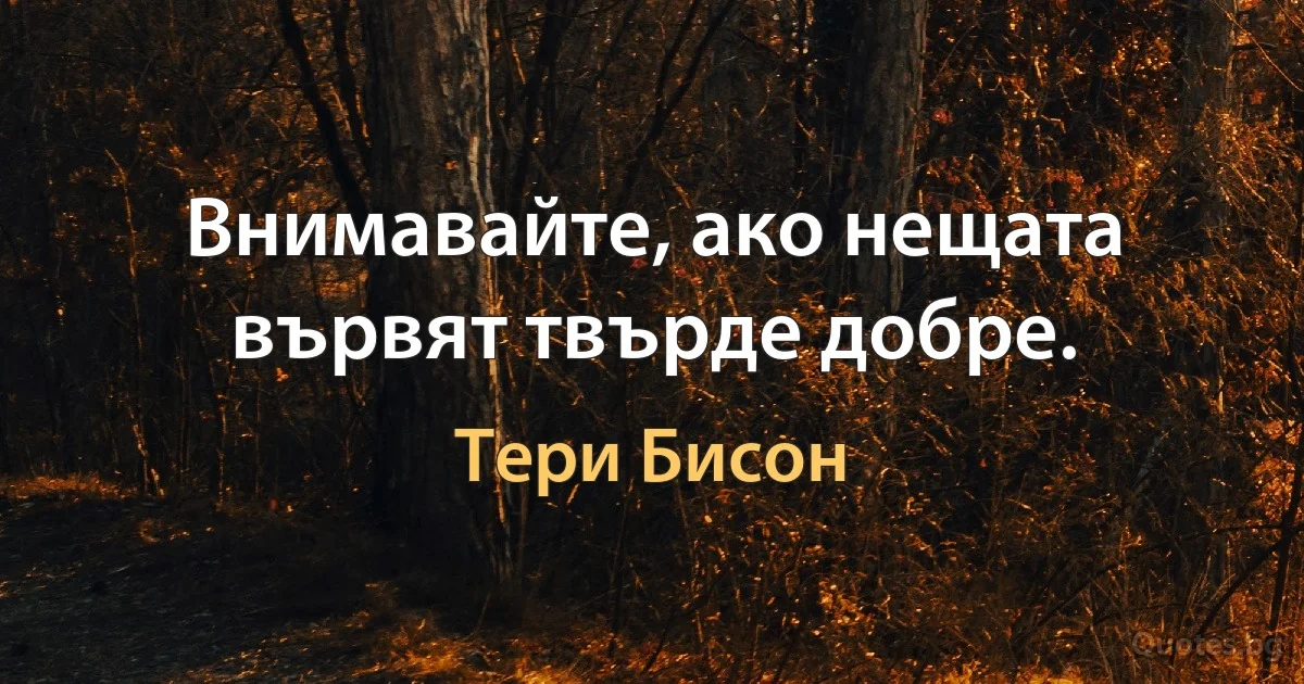 Внимавайте, ако нещата вървят твърде добре. (Тери Бисон)