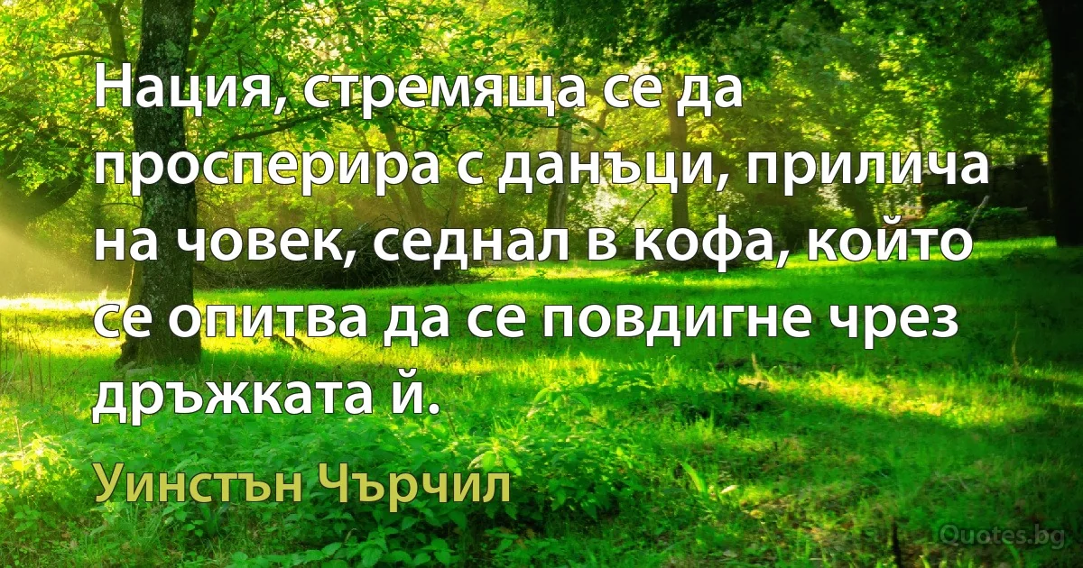 Нация, стремяща се да просперира с данъци, прилича на човек, седнал в кофа, който се опитва да се повдигне чрез дръжката й. (Уинстън Чърчил)