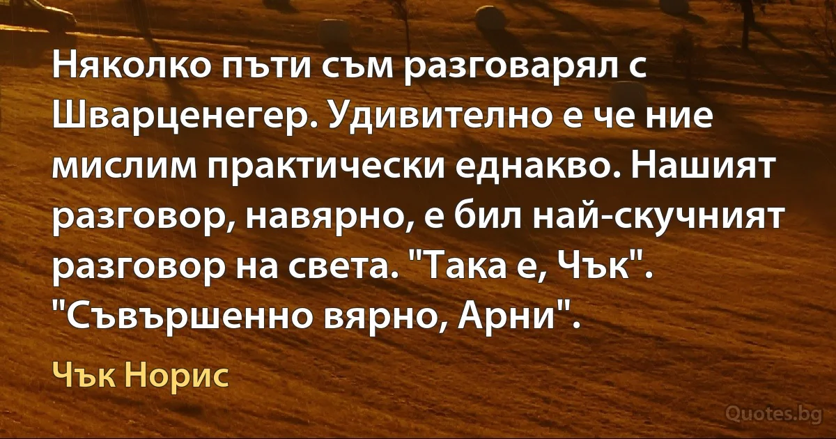 Няколко пъти съм разговарял с Шварценегер. Удивително е че ние мислим практически еднакво. Нашият разговор, навярно, е бил най-скучният разговор на света. "Така е, Чък". "Съвършенно вярно, Арни". (Чък Норис)