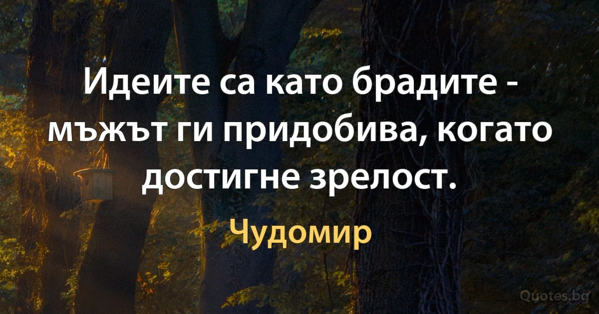 Идеите са като брадите - мъжът ги придобива, когато достигне зрелост. (Чудомир)