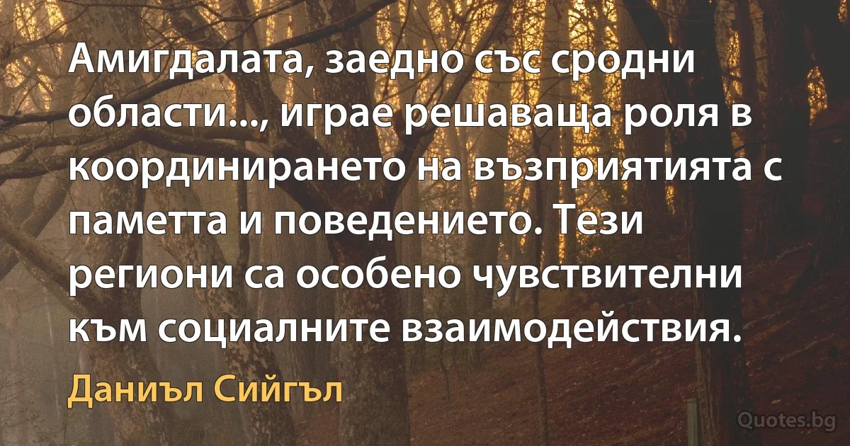 Амигдалата, заедно със сродни области..., играе решаваща роля в координирането на възприятията с паметта и поведението. Тези региони са особено чувствителни към социалните взаимодействия. (Даниъл Сийгъл)