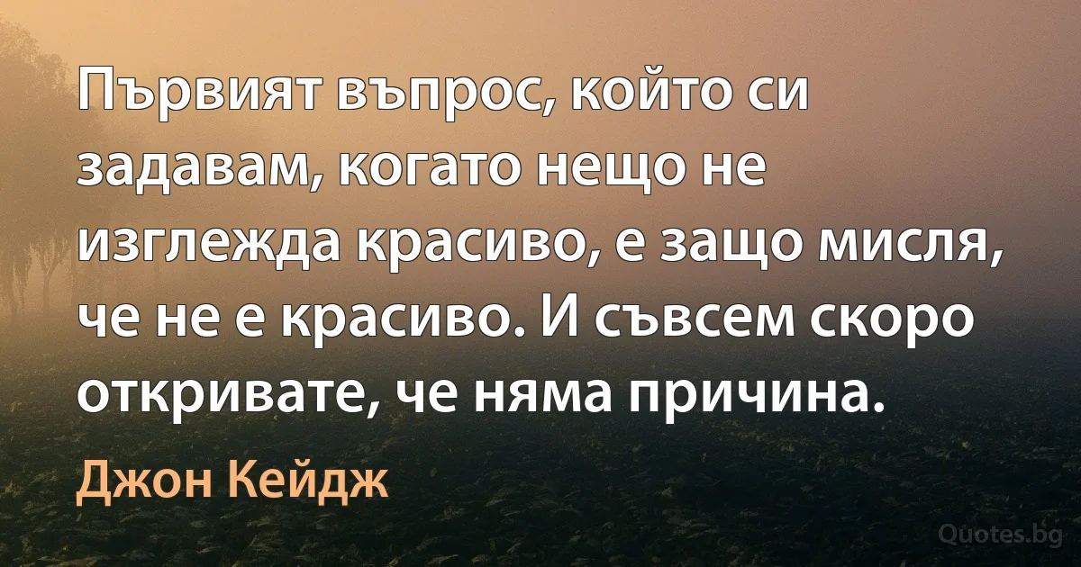 Първият въпрос, който си задавам, когато нещо не изглежда красиво, е защо мисля, че не е красиво. И съвсем скоро откривате, че няма причина. (Джон Кейдж)