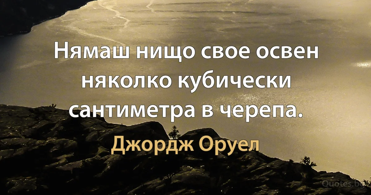 Нямаш нищо свое освен няколко кубически сантиметра в черепа. (Джордж Оруел)