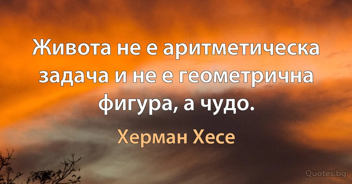 Живота не е аритметическа задача и не е геометрична фигура, а чудо. (Херман Хесе)