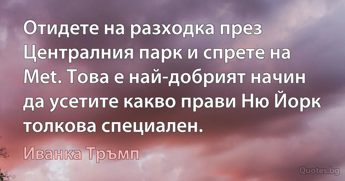 Отидете на разходка през Централния парк и спрете на Met. Това е най-добрият начин да усетите какво прави Ню Йорк толкова специален. (Иванка Тръмп)