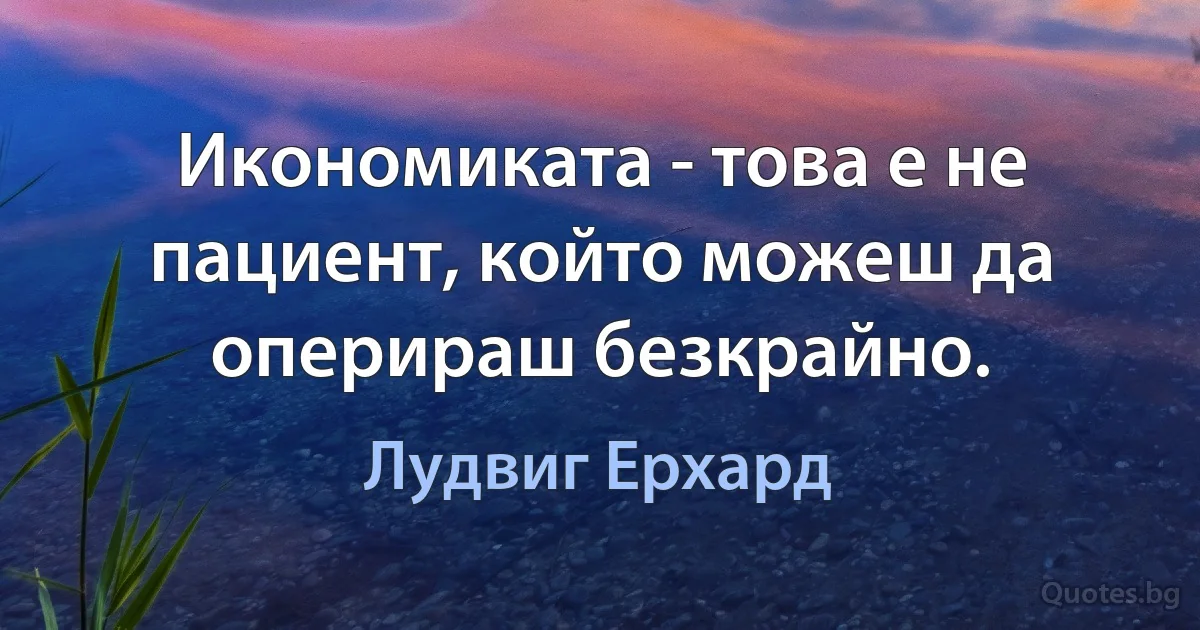 Икономиката - това е не пациент, който можеш да оперираш безкрайно. (Лудвиг Ерхард)