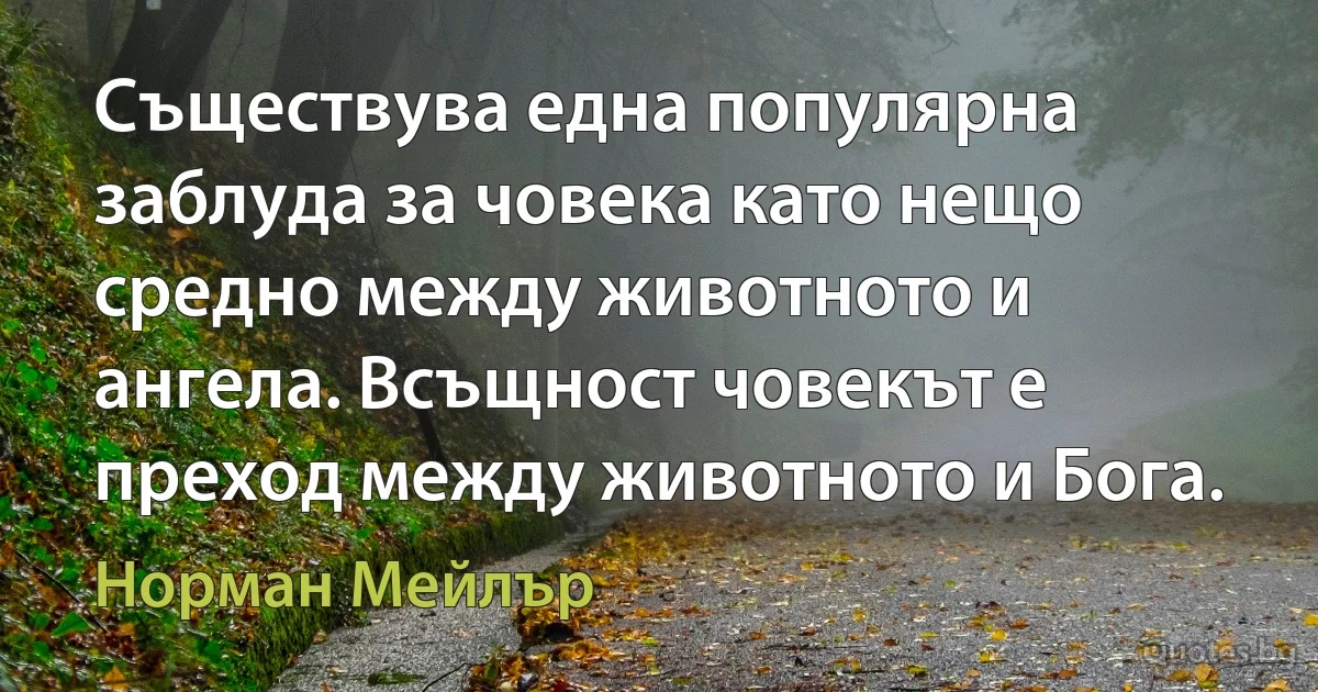 Съществува една популярна заблуда за човека като нещо средно между животното и ангела. Всъщност човекът е преход между животното и Бога. (Норман Мейлър)