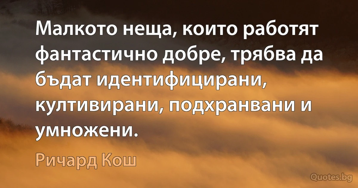 Малкото неща, които работят фантастично добре, трябва да бъдат идентифицирани, култивирани, подхранвани и умножени. (Ричард Кош)