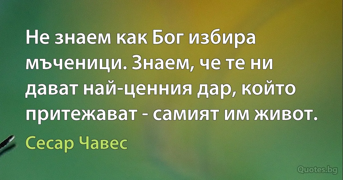 Не знаем как Бог избира мъченици. Знаем, че те ни дават най-ценния дар, който притежават - самият им живот. (Сесар Чавес)