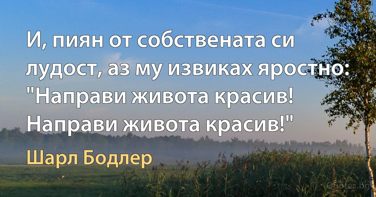 И, пиян от собствената си лудост, аз му извиках яростно: "Направи живота красив! Направи живота красив!" (Шарл Бодлер)