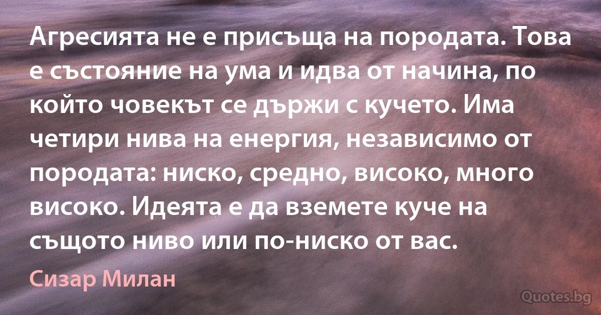 Агресията не е присъща на породата. Това е състояние на ума и идва от начина, по който човекът се държи с кучето. Има четири нива на енергия, независимо от породата: ниско, средно, високо, много високо. Идеята е да вземете куче на същото ниво или по-ниско от вас. (Сизар Милан)