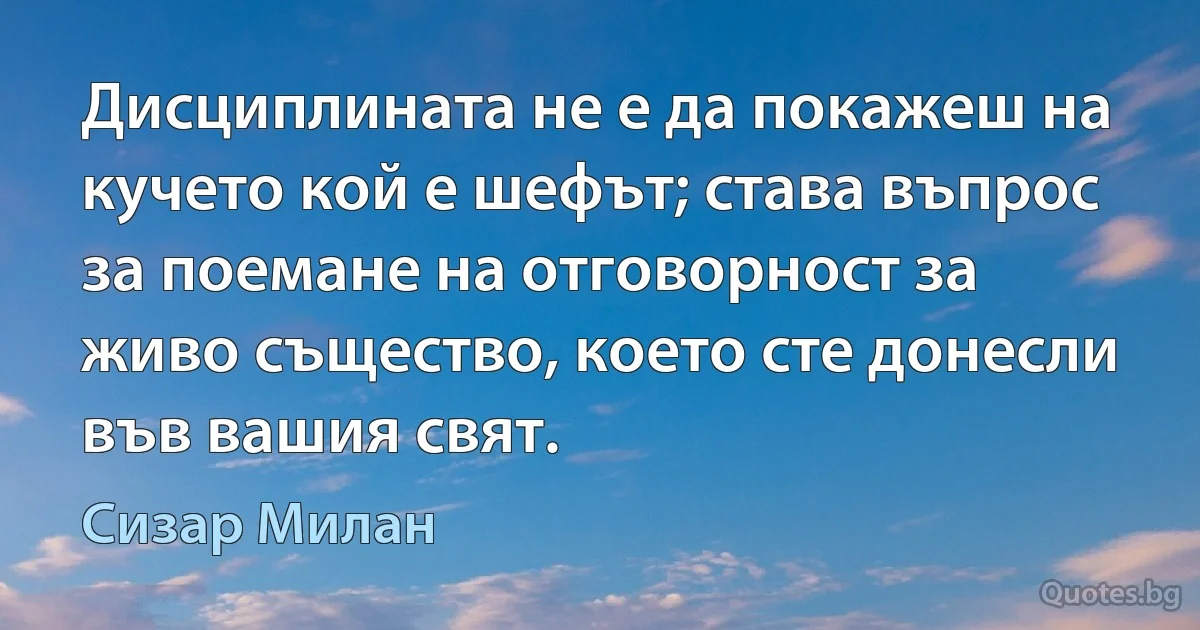 Дисциплината не е да покажеш на кучето кой е шефът; става въпрос за поемане на отговорност за живо същество, което сте донесли във вашия свят. (Сизар Милан)