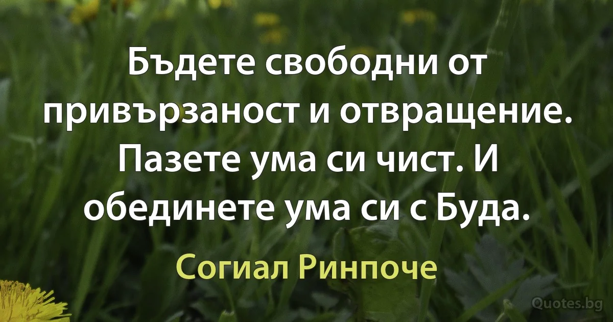 Бъдете свободни от привързаност и отвращение. Пазете ума си чист. И обединете ума си с Буда. (Согиал Ринпоче)