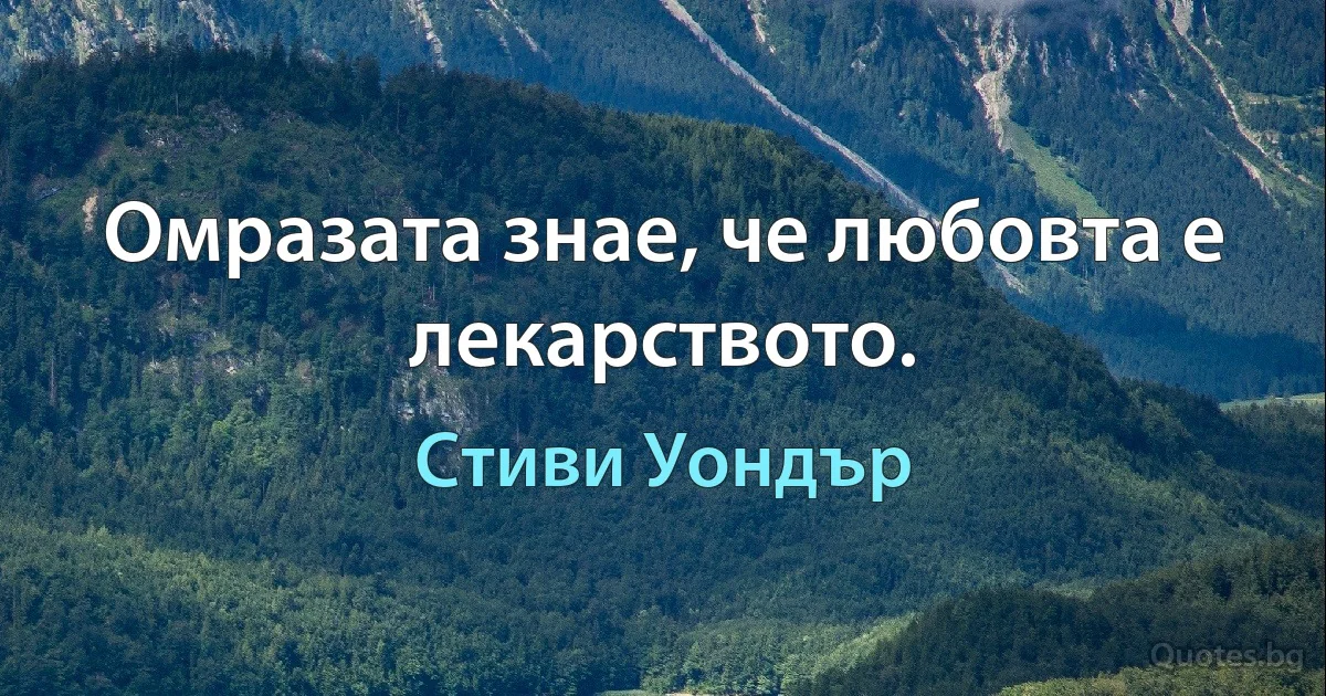 Омразата знае, че любовта е лекарството. (Стиви Уондър)