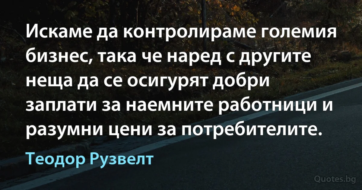 Искаме да контролираме големия бизнес, така че наред с другите неща да се осигурят добри заплати за наемните работници и разумни цени за потребителите. (Теодор Рузвелт)