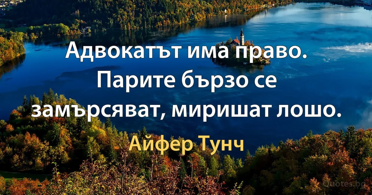 Адвокатът има право. Парите бързо се замърсяват, миришат лошо. (Айфер Тунч)