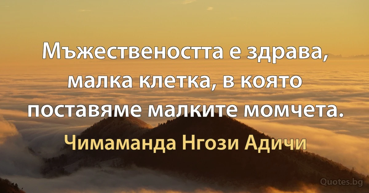 Мъжествеността е здрава, малка клетка, в която поставяме малките момчета. (Чимаманда Нгози Адичи)