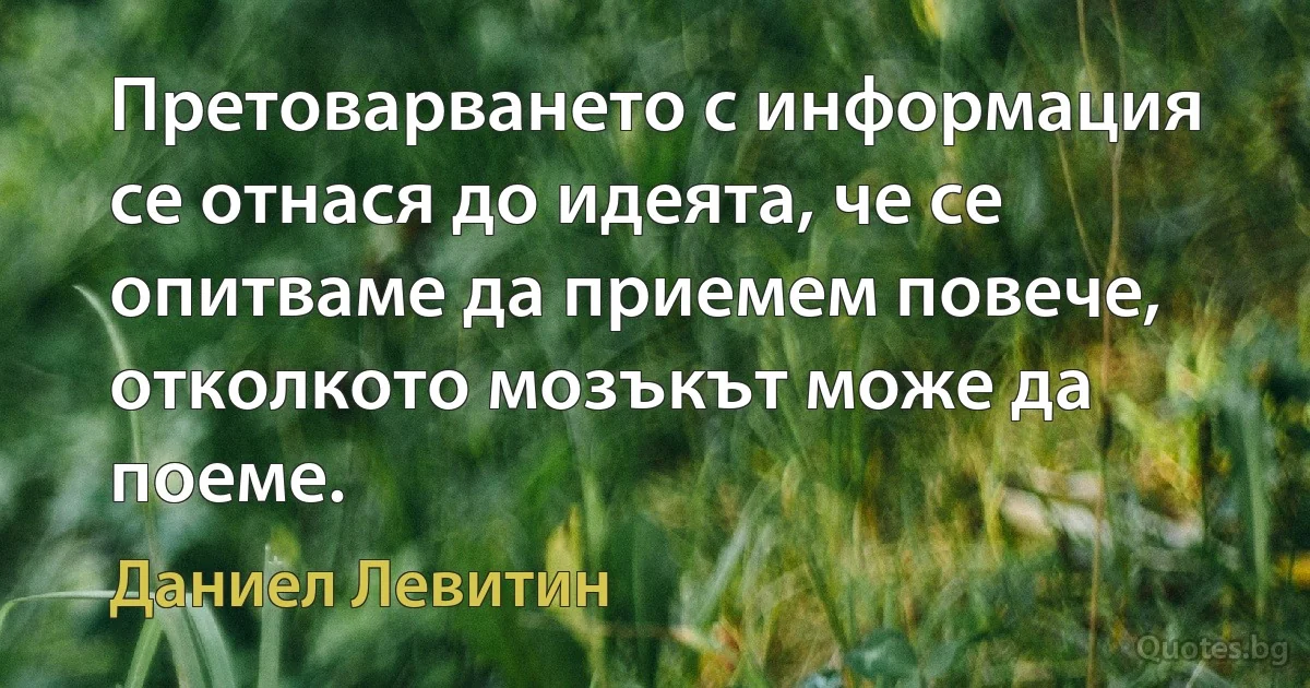 Претоварването с информация се отнася до идеята, че се опитваме да приемем повече, отколкото мозъкът може да поеме. (Даниел Левитин)