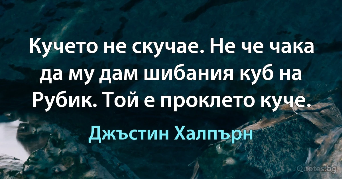 Кучето не скучае. Не че чака да му дам шибания куб на Рубик. Той е проклето куче. (Джъстин Халпърн)