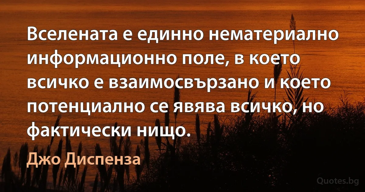 Вселената е единно нематериално информационно поле, в което всичко е взаимосвързано и което потенциално се явява всичко, но фактически нищо. (Джо Диспенза)