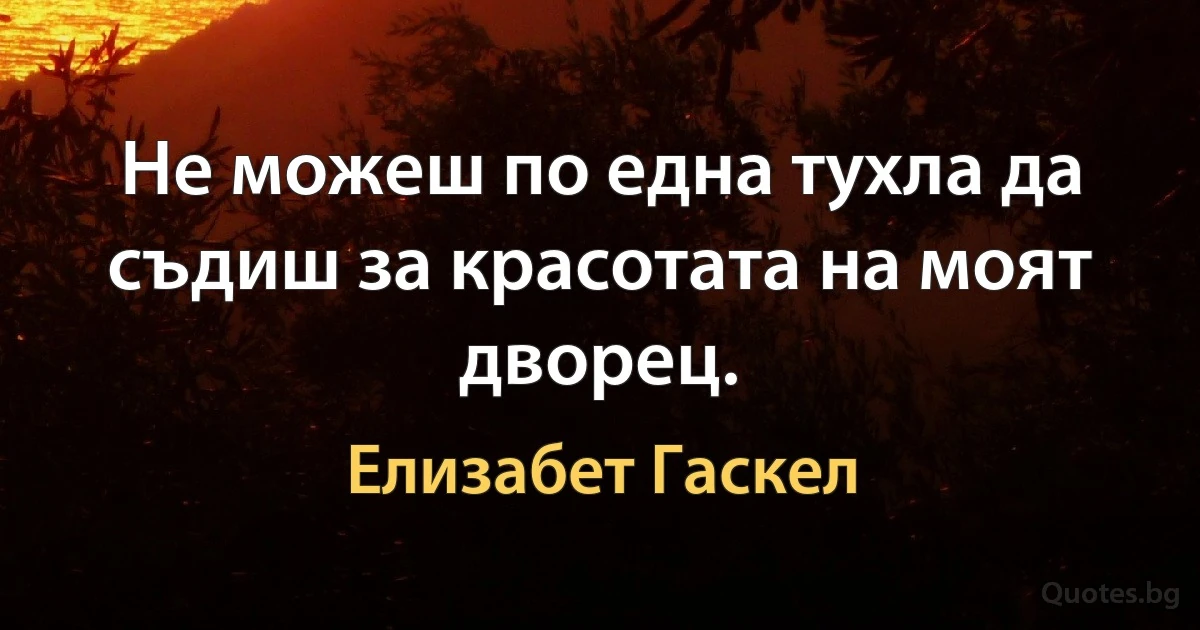 Не можеш по една тухла да съдиш за красотата на моят дворец. (Елизабет Гаскел)