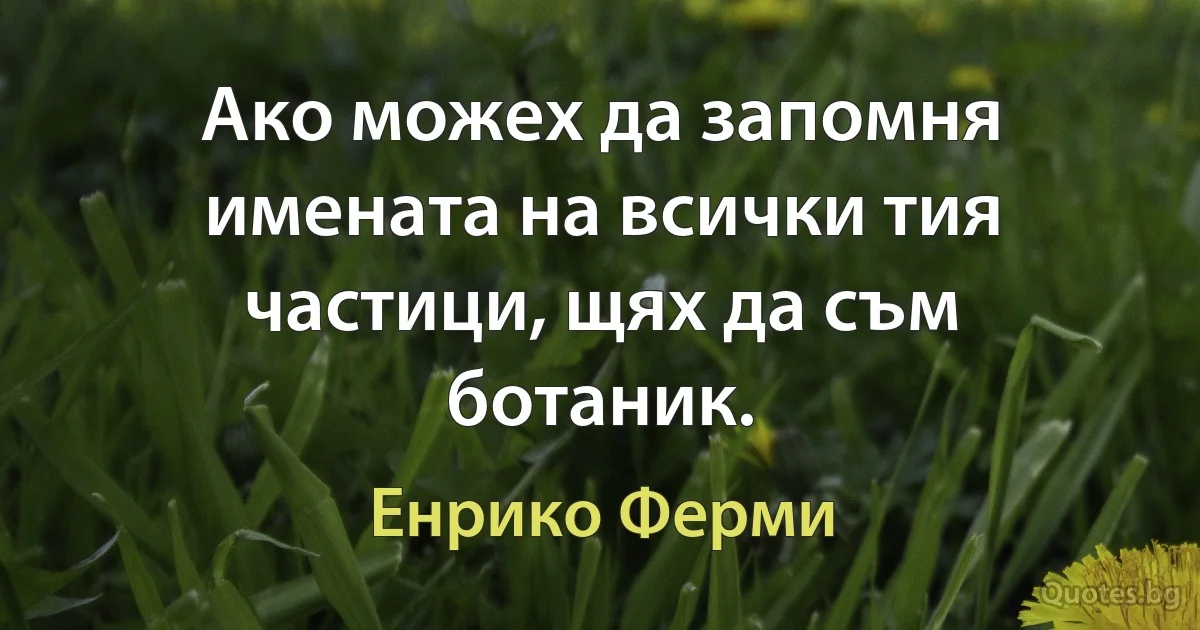 Ако можех да запомня имената на всички тия частици, щях да съм ботаник. (Енрико Ферми)