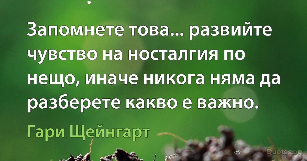 Запомнете това... развийте чувство на носталгия по нещо, иначе никога няма да разберете какво е важно. (Гари Щейнгарт)