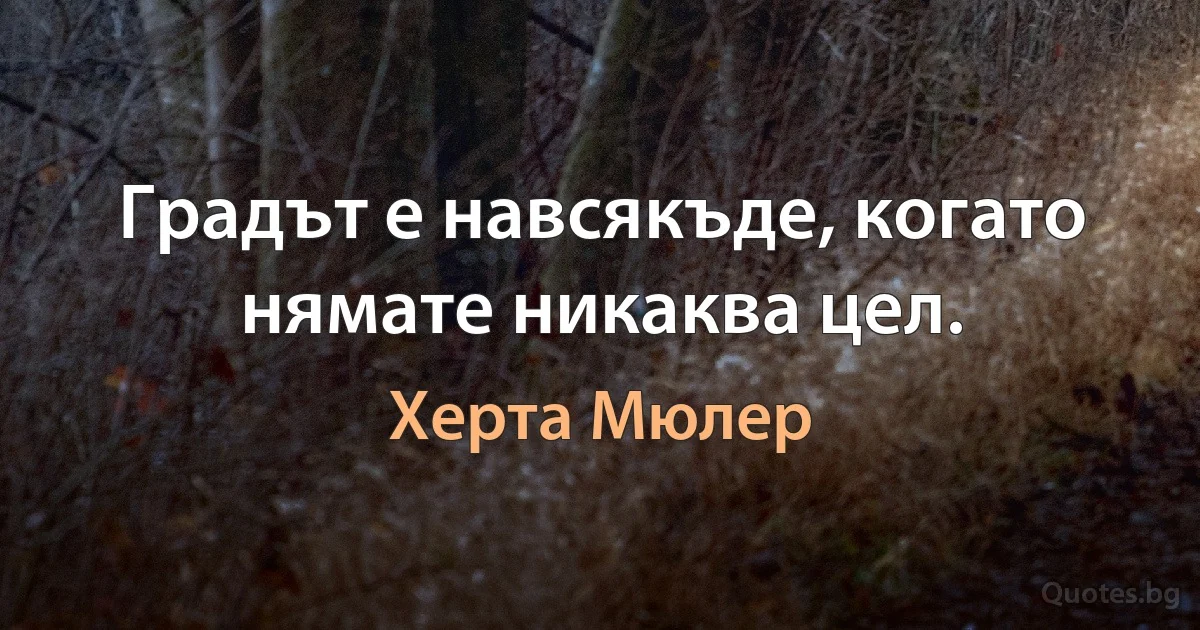 Градът е навсякъде, когато нямате никаква цел. (Херта Мюлер)