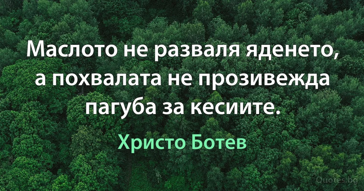 Маслото не разваля яденето, а похвалата не прозивежда пагуба за кесиите. (Христо Ботев)